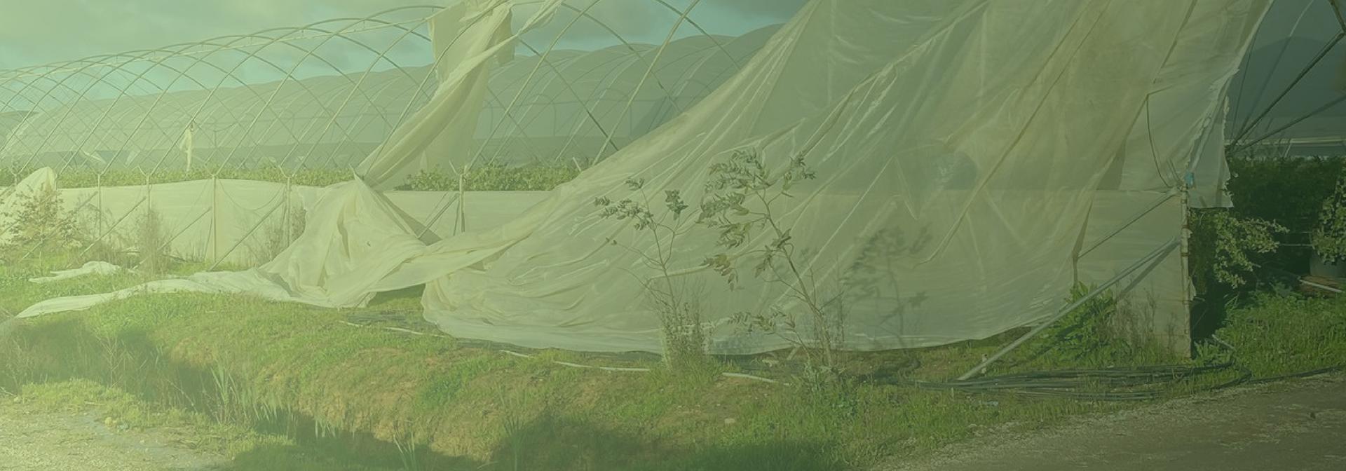 Restabelecimento do Potencial Produtivo
