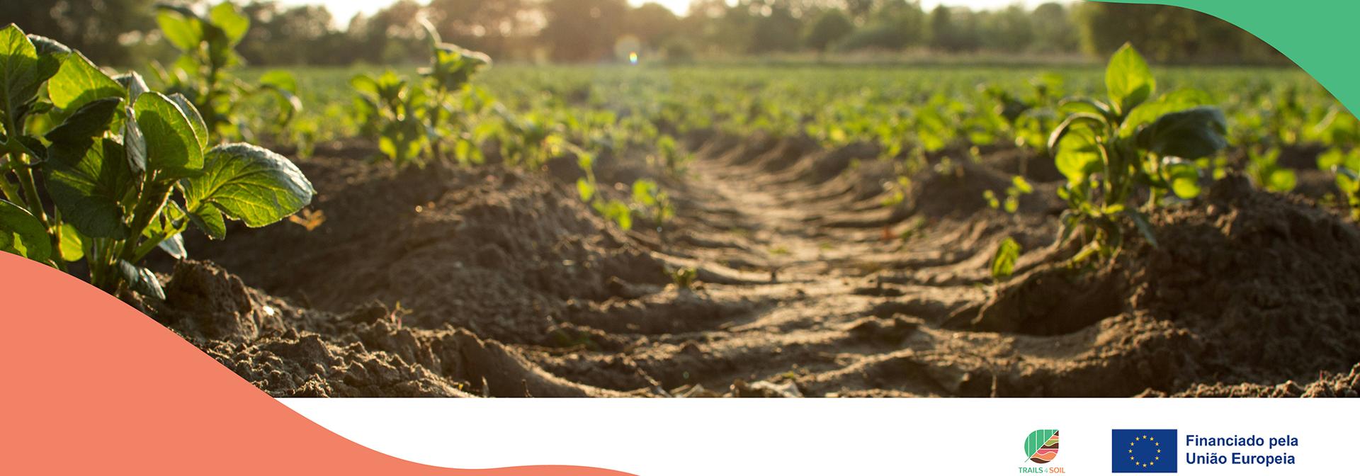 trail4soil