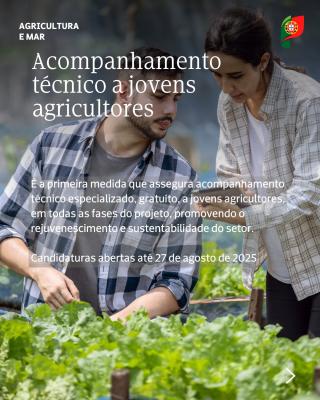 Acompanhamento técnico a jovens agricultores