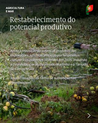 Restabelecimento do potencial produtivo