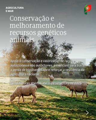 Conservação e melhoramento de recursos genéticos animais