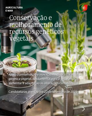 Conservação e melhoramento de recursos genéticos vegetais