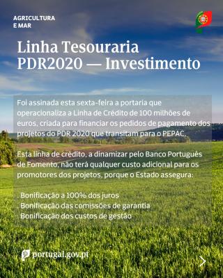 Linha Tesouraria PDR2020 - Investimento (1)