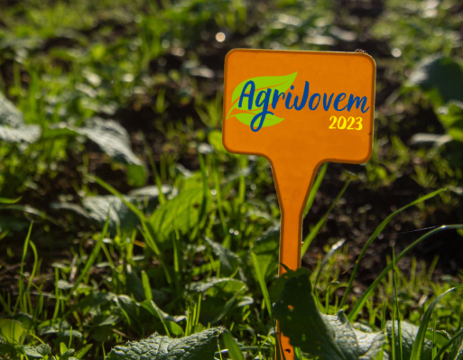 AgriJovem2013