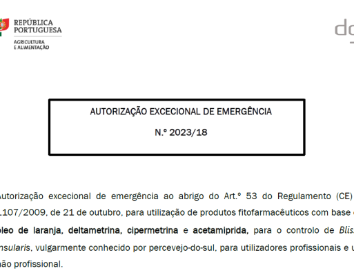 Autorização excecional de emergência 2023/18 - Blissus insularis