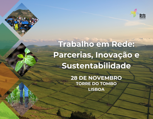 Apresentação da Rede Nacional no âmbito do PEPAC