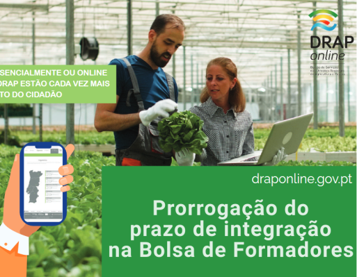 Bolsa de Formadores