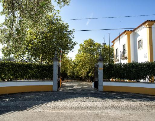 DRAP Alentejo