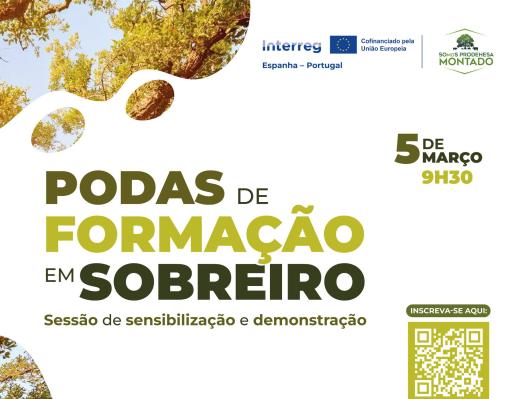 Podas de formação em sobreiro