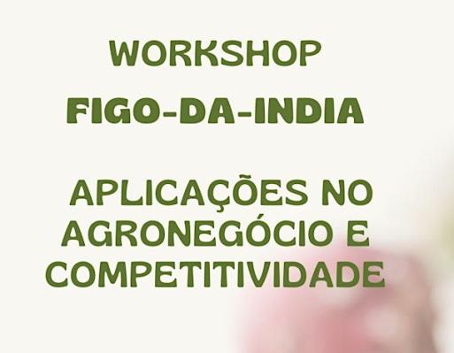 Workshop Figo-da-Índia