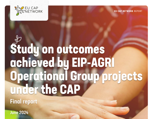Estudo sobre os Resultados dos Projetos dos Grupos Operacionais EIP-AGRI no âmbito da PAC