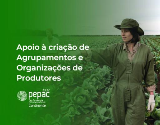 Abertura de candidaturas para apoiar Agrupamentos e Organizações de Produtores
