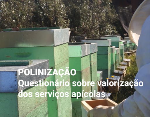 Polinização | questionário sobre valorização dos serviços apícolas