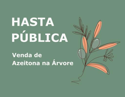 Abertura de Hasta Pública para Venda de Azeitona na Árvore nos Centros de Experimentação dos Lameirões e do Baixo Alentejo