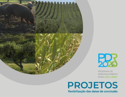 PDR2020 flexibiliza prazos para conclusão de projetos