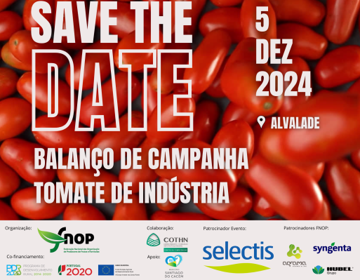 Balanço da Campanha do Tomate de Indústria 2024