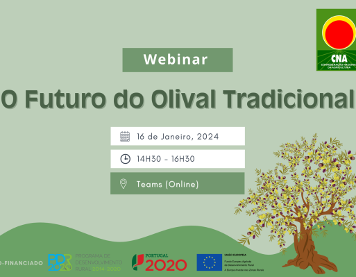 Webinar sobre o Futuro do Olival Tradicional