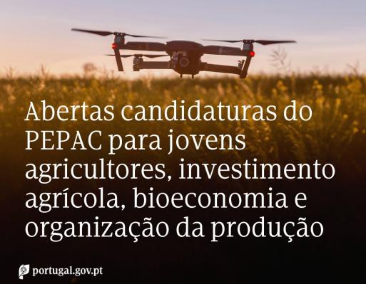 Concursos PEPAC