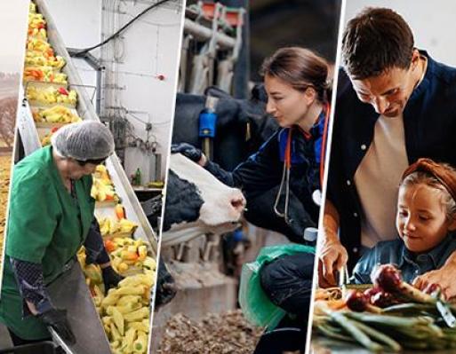 Comissão Europeia cria Conselho Europeu da Agricultura e Alimentação