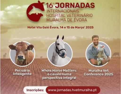 Jornadas Internacionais do Hospital Veterinário Muralha de Évora: Um Encontro de Inovação e Conhecimento