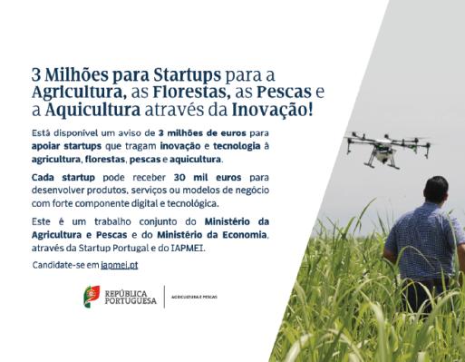 Vouchers para Startups