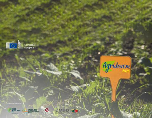 AgriJovem 2025
