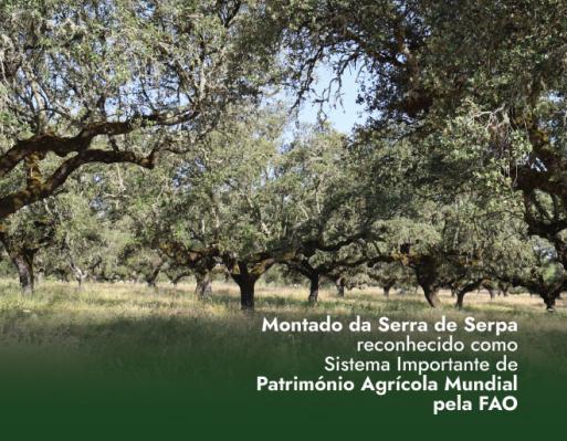 Montado Serpa
