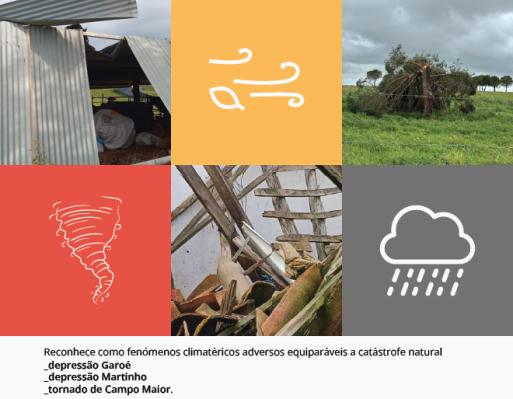 Publicado Despacho que reconhece fenómenos climáticos extremos como catástrofe natural