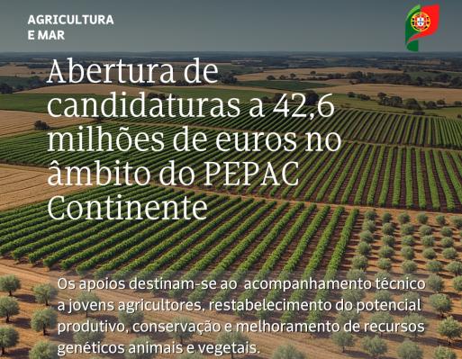 Abertura de candidaturas a 42,6 milhões de euros no âmbito do PEPAC no Continente 