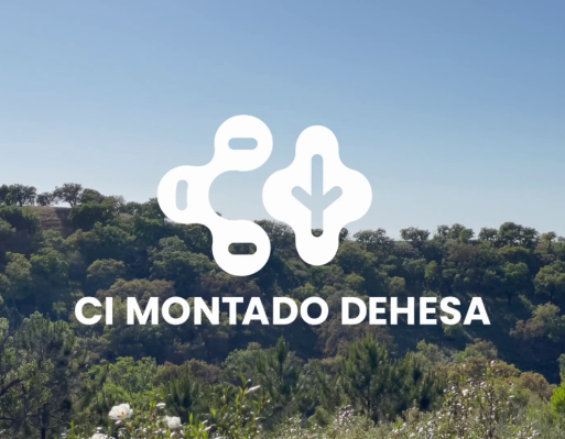 Projeto CI Montado-Dehesa