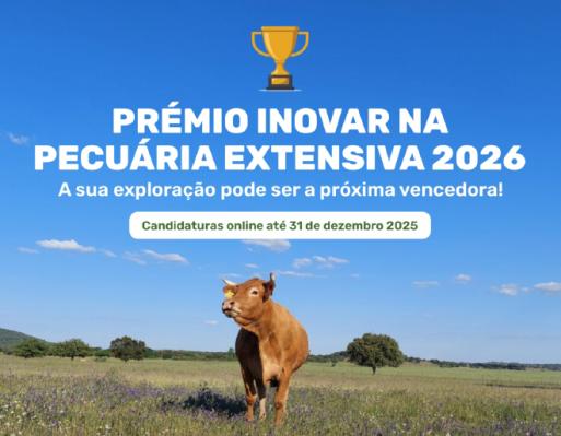 Prémio Inovar