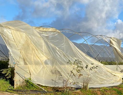 Restabelecimento do Potencial Produtivo