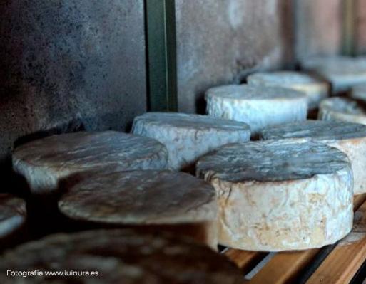 I Jornadas Ibéricas sobre Queijos Artesanais com DOP