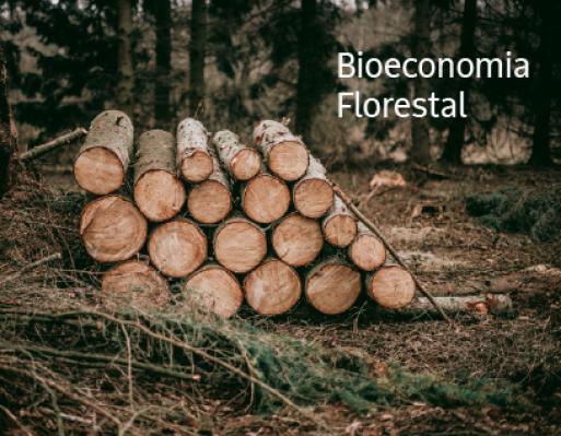 Aviso Bioeconomia Florestal