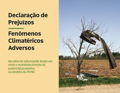 Fenómenos Climatéricos Adversos