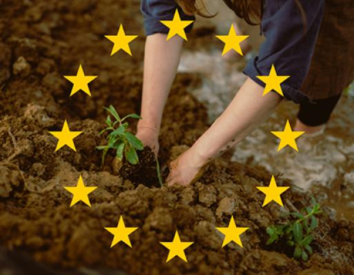 Governo simplifica gestão dos fundos europeus e altera o PEPAC