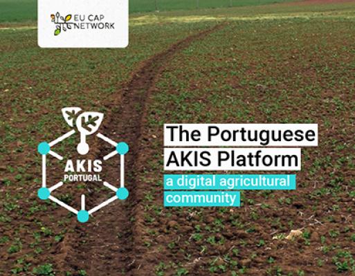AKIS Portugal