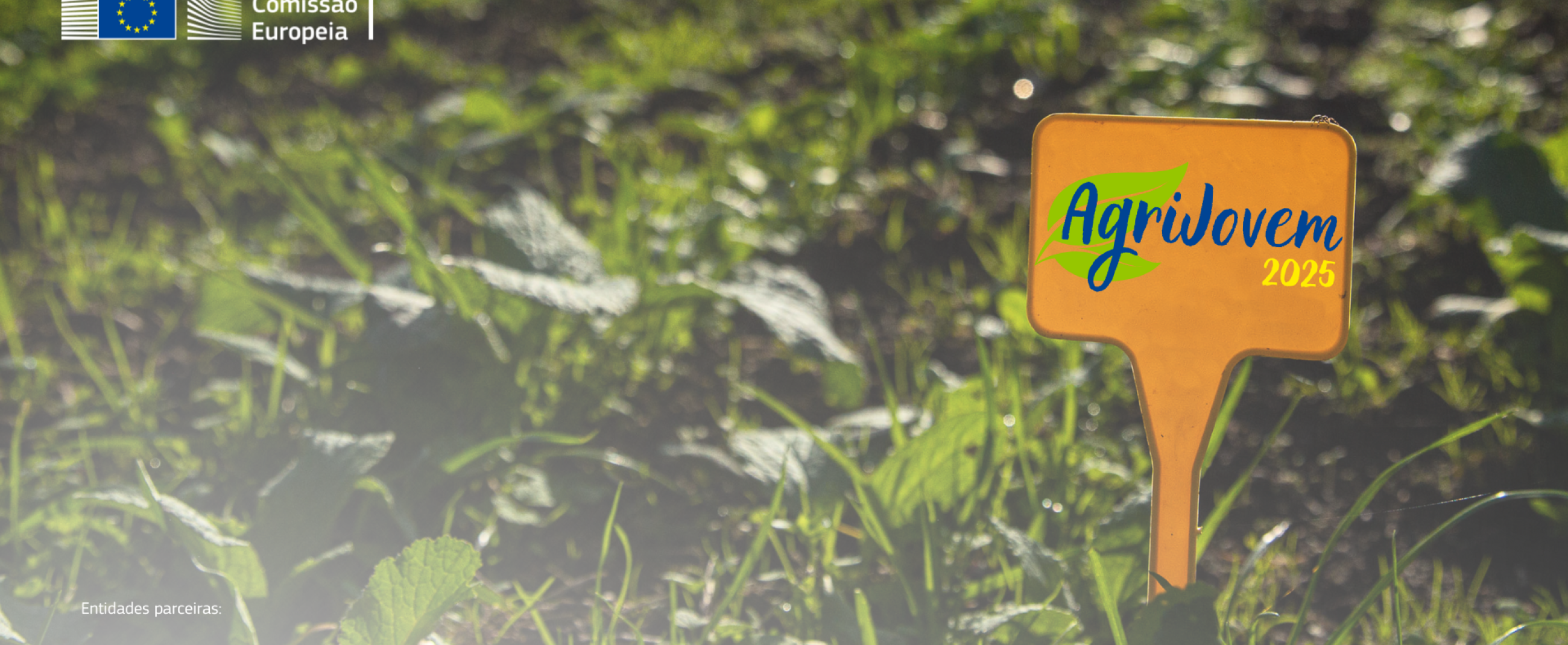 Agri Jovem 2025