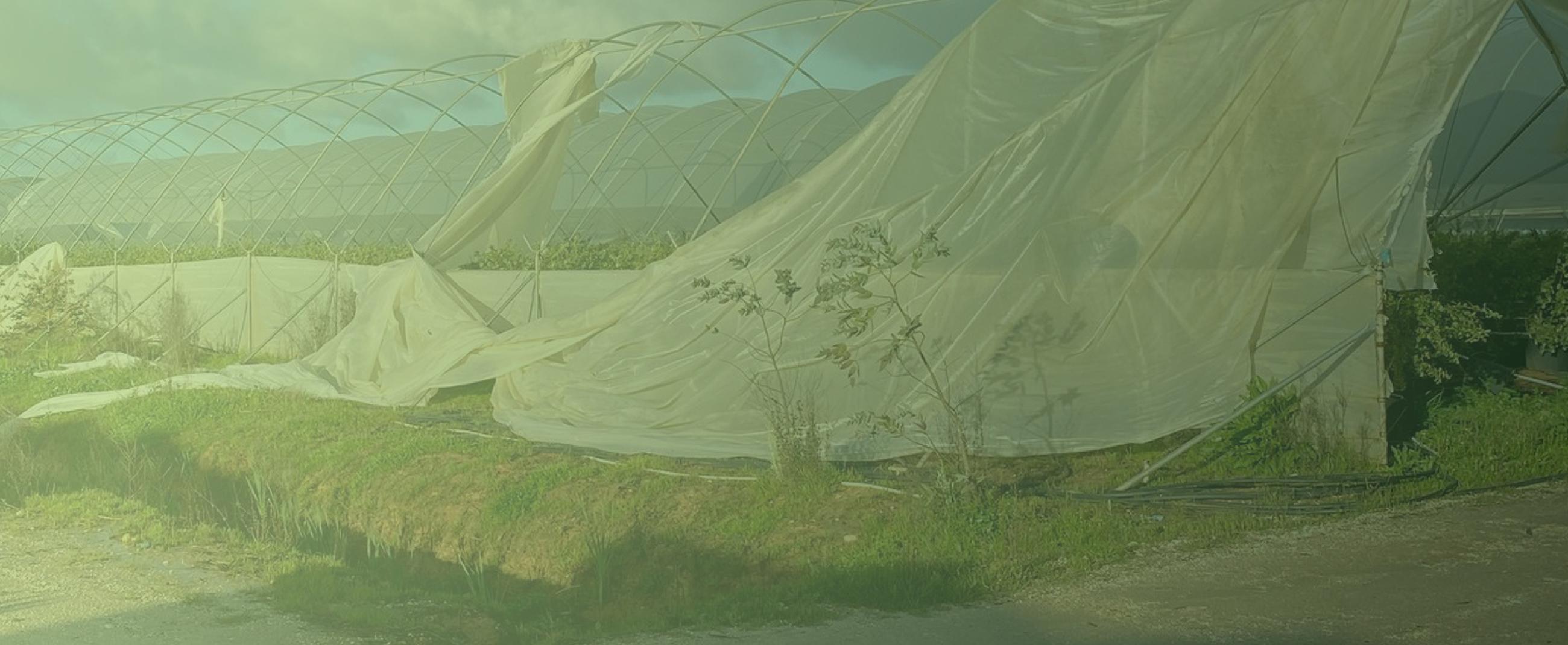 Restabelecimento do Potencial Produtivo