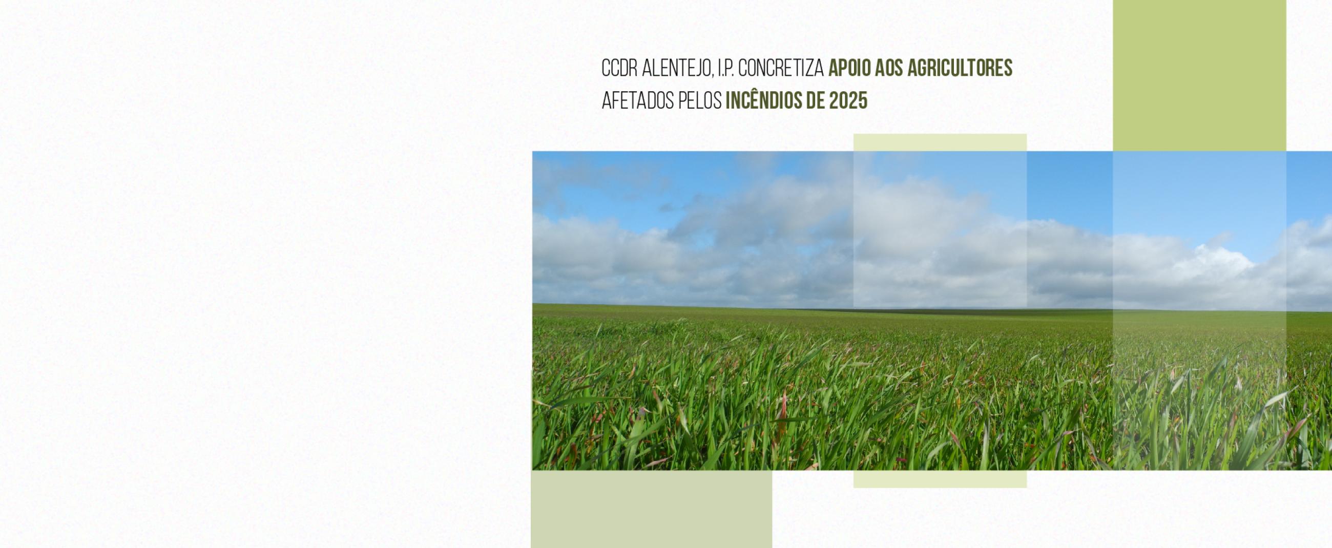 Estado cumpre no território: CCDR Alentejo concretiza apoio aos agricultores afetados pelos incêndios de 2025