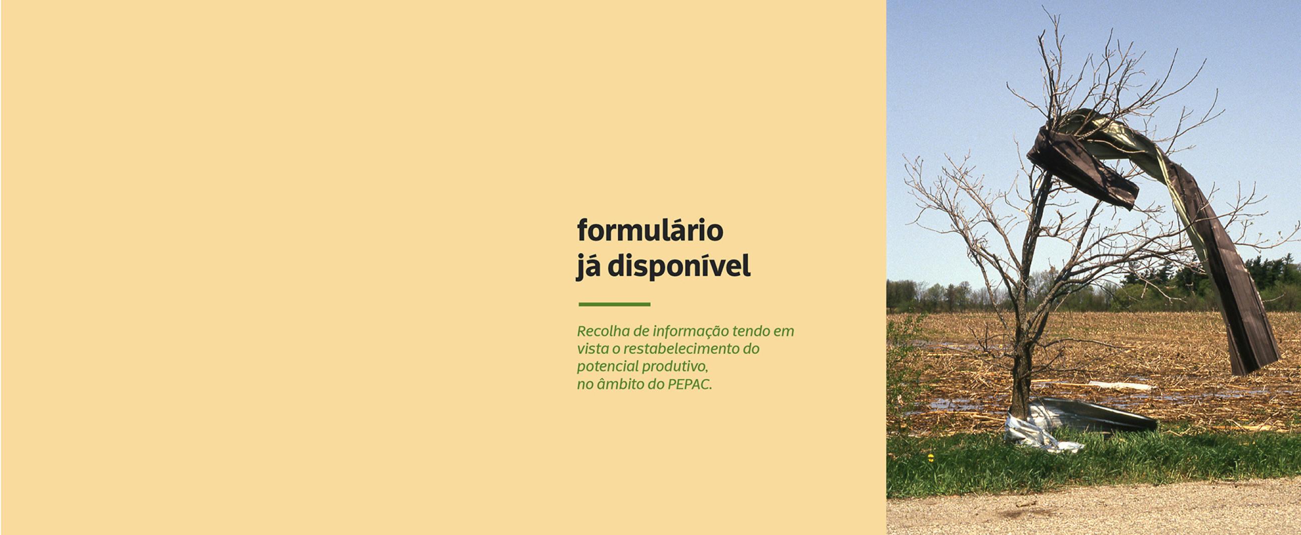 Fenómenos Climatéricos Adversos