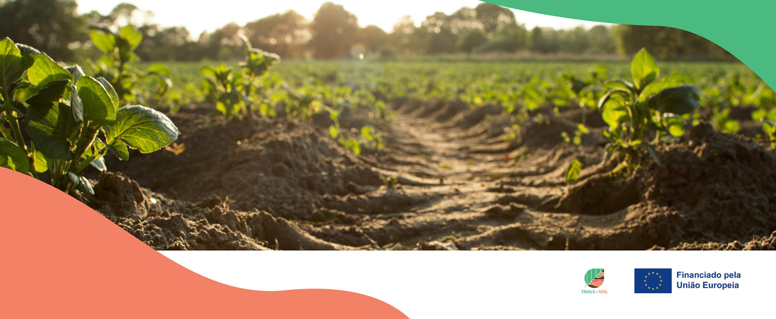 trail4soil