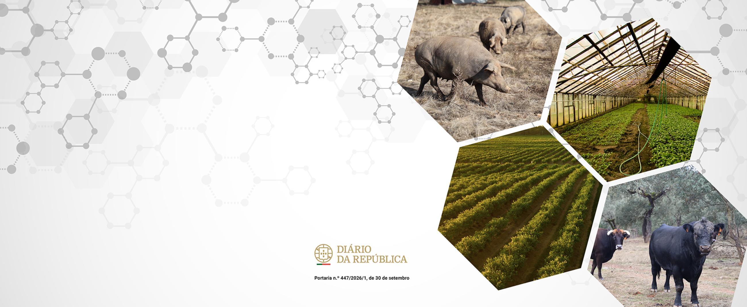 Estabelece o regime de aplicação da medida excecional da Reserva Agrícola para a Tempestade Kristin, prevista no Regulamento de Execução (UE) 2026/1698 da Comissão, aplicável ao território continental.